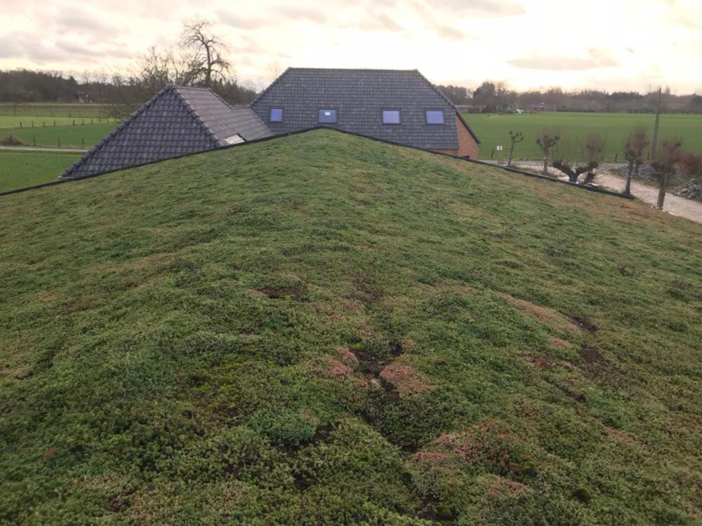 Bed and Breakfast De Worfthoeve Geel Exterior foto